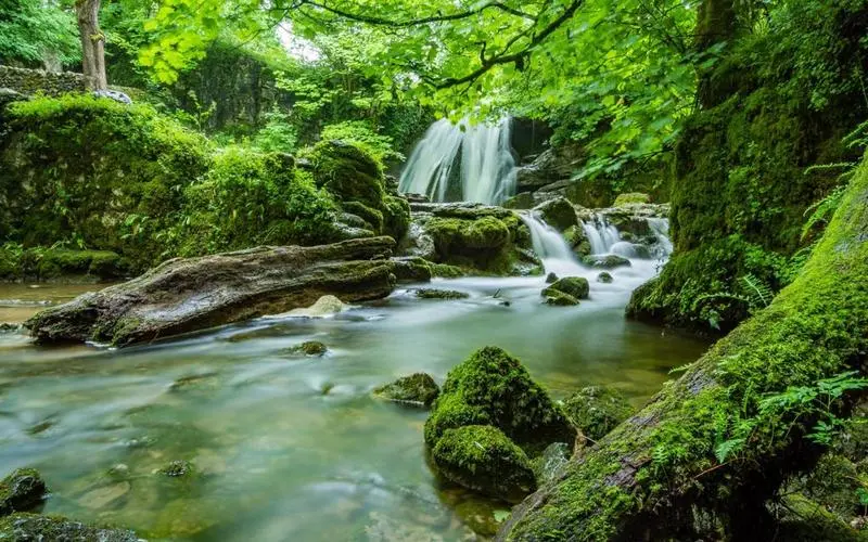 可靠性节能智能系统